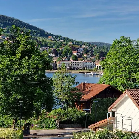 F2* * * 80M Du Lac Avec Vue+Terrasse+Proche Centre Gerardmer Exterior photo